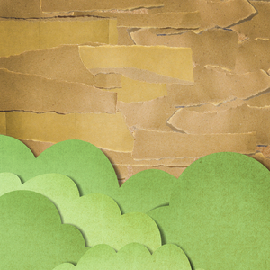 婷婷伦理综合二区
