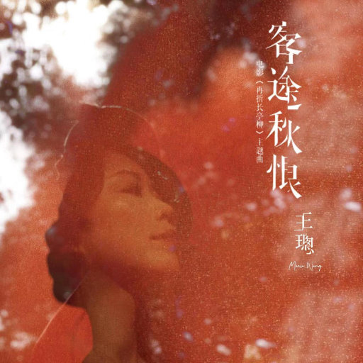 婷婷伦理综合二区
